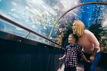 Mother and son watching sea life in oceanariumの写真素材