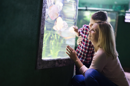 Mother and son watching sea life in oceanariumの写真素材