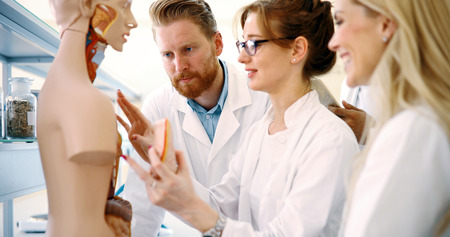 Students of medicine examining anatomical model in classroomの写真素材