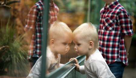 Kids watching reptiles in terrarium through glass.の写真素材