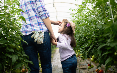 Mother and daughter working in the farm.の写真素材