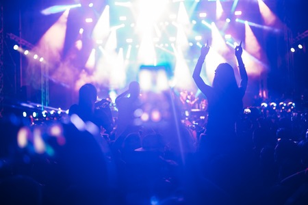 Portrait of happy crowd enjoying at music festival