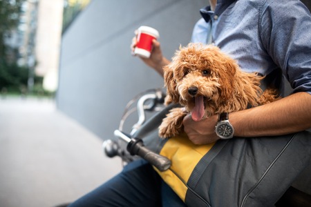 Handsome smiling man sitting on a bicycle on the street and drinking coffee.の写真素材