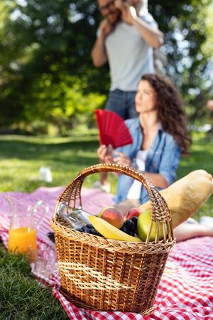 Happy male and female playing and enjoying picnic with children outsideの写真素材
