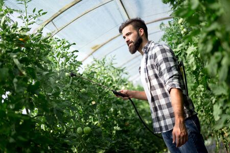 Attractive happy male farmer working in greenhouse