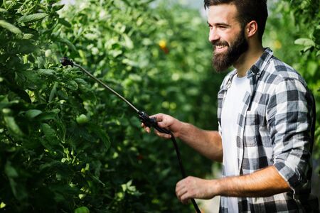 Attractive happy male farmer working in greenhouseの写真素材