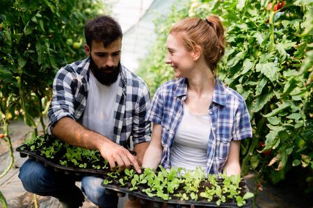 Two people working in a greenhouse.