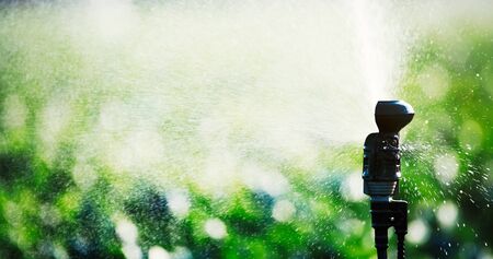 Irrigation system in function watering agricultural plants in fieldの写真素材