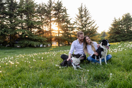 Couple playing with their dogs in the parkの写真素材