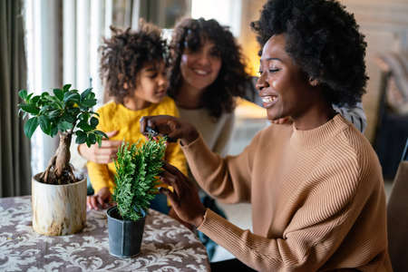 Home hobbies gardening with children and learning botany. Family love happiness conceptの写真素材