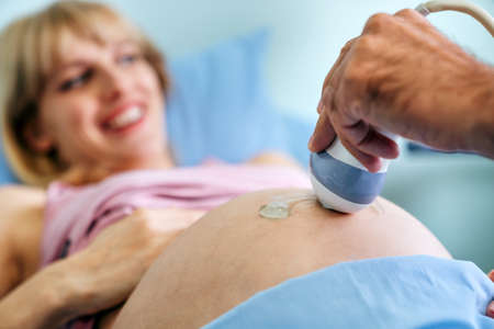 Obstetrician examining pregnant woman belly by ultrasonic scan in hospital.の写真素材