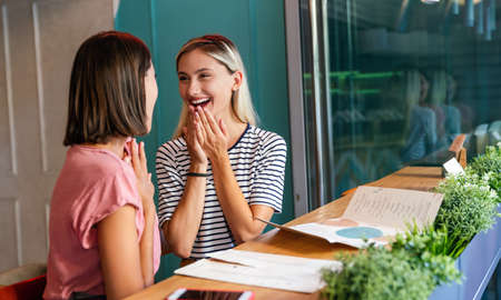 Portrait of two beautiful women having fun together and chatting in cafeの写真素材