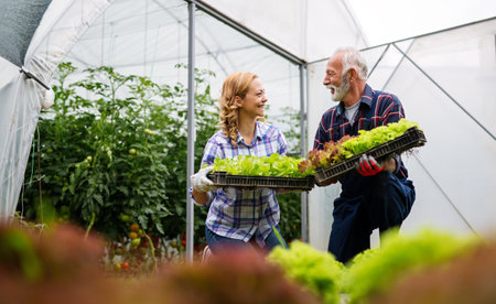 Happy senior man working together with woman in family greenhouse business.