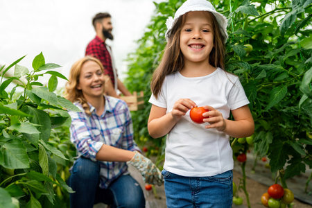 Friendly farmer team harvesting fresh vegetables from the rooftop greenhouse garden. Agriculture.の写真素材