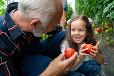 Grandfather growing organic fresh vegetables with grandchildren and family at family farmの写真素材