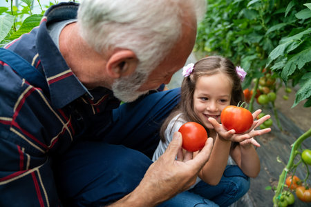 Grandfather growing organic vegetables with family at bio farm. People healthy food conceptの写真素材
