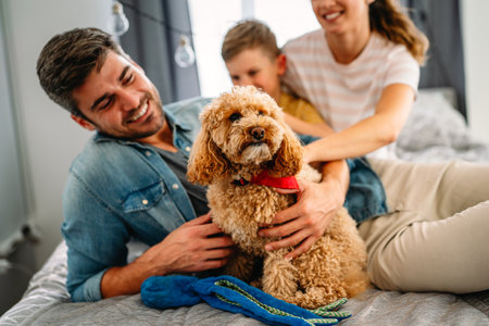 Cute dog enjoys love from owners at home. Child, family and cares for furry friend, creating a bondの写真素材