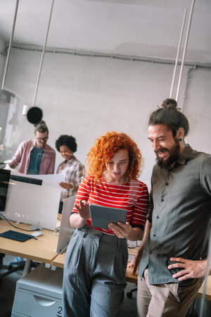 Group of business people and software developers working as a team in officeの写真素材