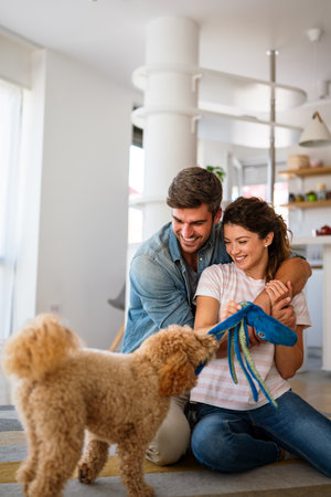 Cute dog enjoys love from owners at home. Couple pets and cares for furry friend, creating a bond.
