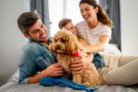 Cute dog enjoys love from owners at home. Child, family and cares for furry friend, creating a bondの写真素材