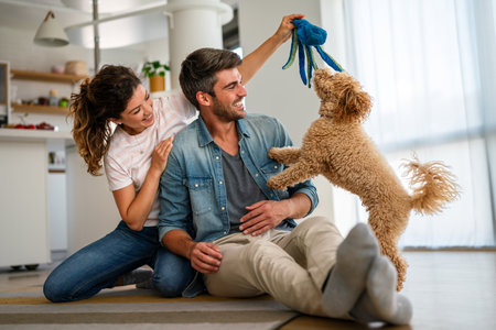 Cute dog enjoys love from owners at home. Couple pets and cares for furry friend, creating a bond.の写真素材