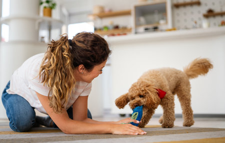 Cute dog enjoys love from owners at home. Couple pets and cares for furry friend, creating a bond.の写真素材