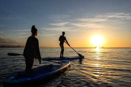 Group enjoying paddle boarding in sunset light reflects an active holiday filled with adventure