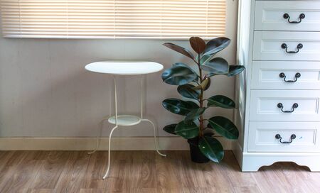 Decorate the corner of the house with wooden cabinets, 5-level drawers, a living room table and rubber plant. Air purifier treeの写真素材