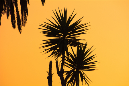 Paralia Gerakinis, Sithonia, Chalkidiki, Greece - June 29, 2014: Paralia Gerakinis on the peninsula Sithoniaの写真素材