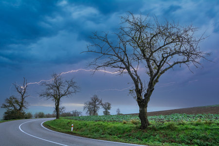 Landscape with lightning, tree, field, road. picturesque background.