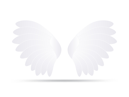 white wingsのイラスト素材