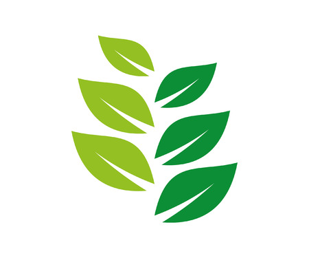 LEAF LOGO VECTORのイラスト素材