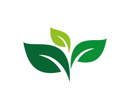 LEAF LOGO VECTORのイラスト素材