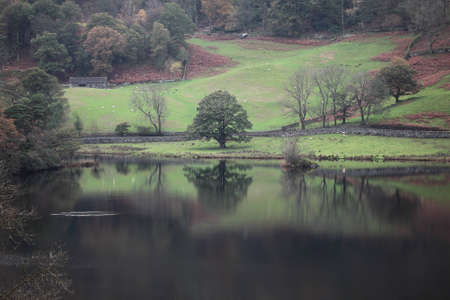 Beautiful Autumn reflections. The Lake District, Cumbria, Englandの写真素材