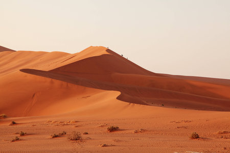 Sand dunes in Namibiaの写真素材