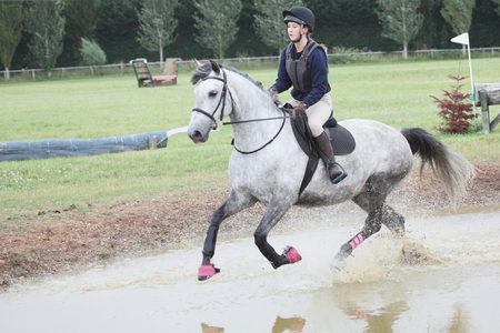 A horse cantering through water in a cross country courseの写真素材