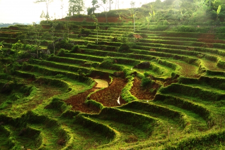 Beauty nature rice terraces in mountainの写真素材