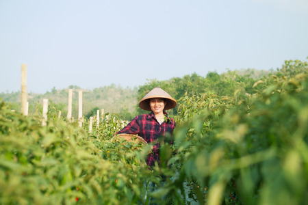 Farmer woman on workingの写真素材