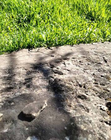 Footprint on the ground with green grass in the public park.の写真素材