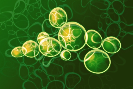 Cellsの写真素材