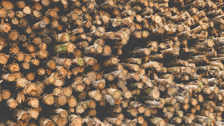 Wood Logs Stackedの写真素材