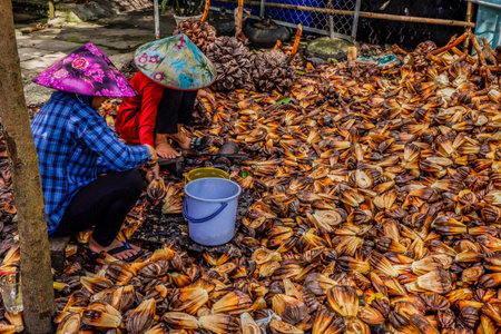 Unidentified Thai woman selling dried bananas at the street market in Kanchanaburi, Thailand.のeditorial素材