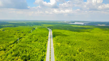 Can Gio mangrove forest in Ho Chi Minh city, Vietnam