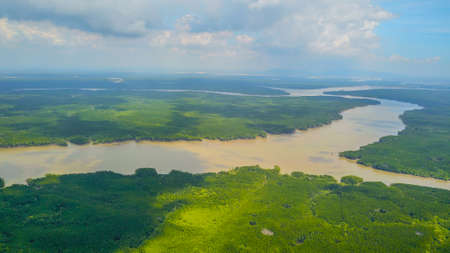Can Gio mangrove forest in Ho Chi Minh city, Vietnamの写真素材