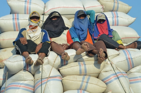A group of worker resting on top of Rice Sack   のeditorial素材
