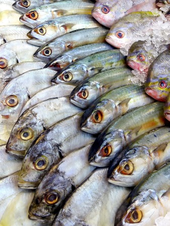 Frozen fish as a source of healthy protein on natural food markets displayの写真素材