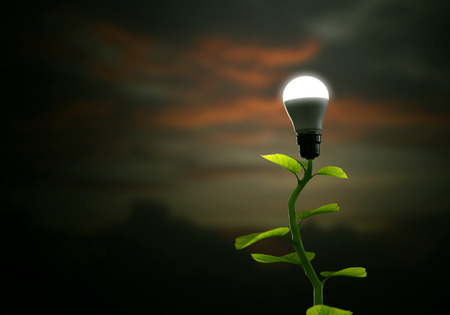 Sustainable or renewable green energy concept illustrated with a tree seedling grow and lit a led bulb as fruit. Mixed media.の写真素材