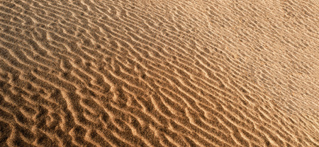 Ripple in the sand textureの写真素材