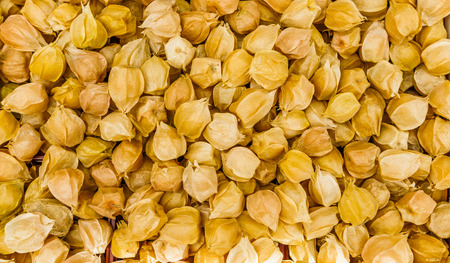 Brown berries texture and backgroundの写真素材