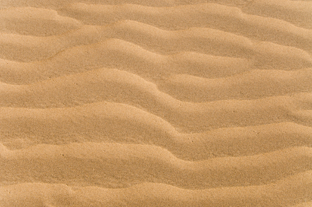 Wavy ripples in the sandの写真素材